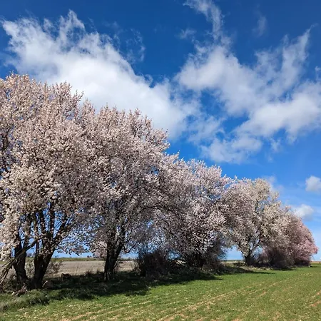 Casa Entre Hoces10-12paxjardín Y Barbacoa Fuentemizarra