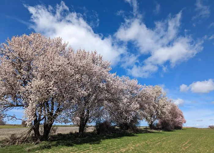 Casa Entre Hoces10-12paxjardín Y Barbacoa Fuentemizarra